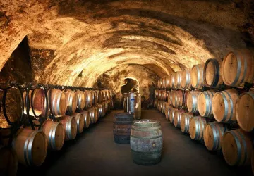 Wine and Ride Condrieu_Condrieu