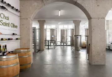 La cuverie du Chai Saint Olive