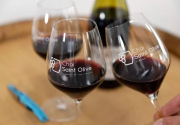 Dégustation au Chai Sant Olive