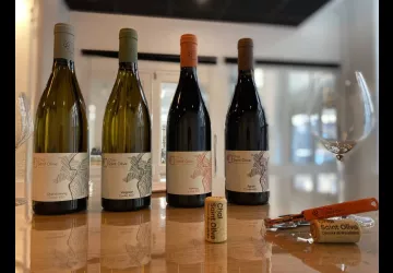 Les cuvées du Chai Saint Olive