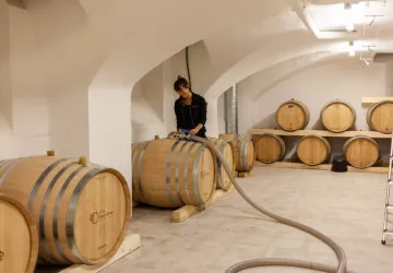 Production des vins en fûts de chêne