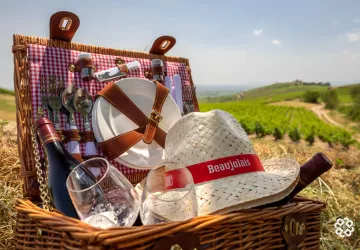 Pique-nique dans les vignes