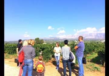 Visite du domaine Terre de Mistral