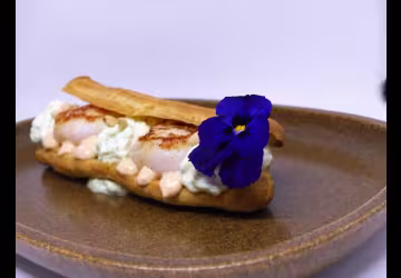 Fruits du noyer de la mer
