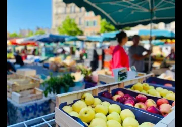 Du marché à l’assiette