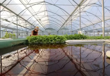 Visite de la ferme Intégrale