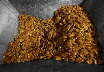 Fruits_Huilerie_Beaujolaise