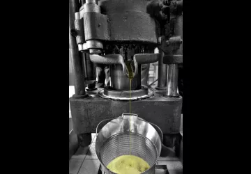 Presse_Huilerie Beaujolaise