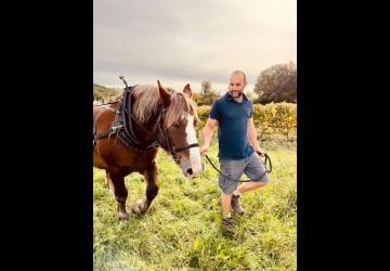 Thibaut et Echo