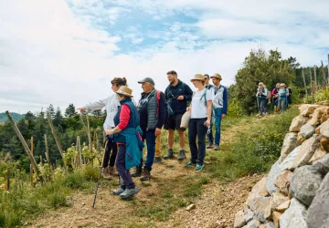 Vignes & Saveurs – Balade gourmande en Rhône Crussol_Saint-Péray