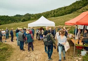 Vignes & Saveurs – Balade gourmande en Rhône Crussol_Saint-Péray