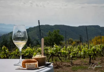 Vignes & Saveurs – Balade gourmande en Rhône Crussol_Cornas