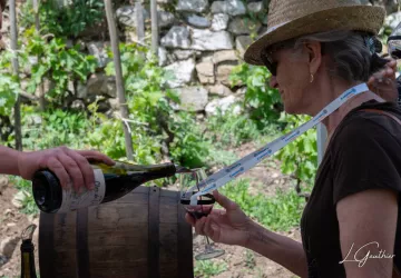 Vignes & Saveurs – Balade gourmande en Rhône Crussol_Cornas