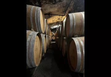 Visite sigature - Château de Lachassagne