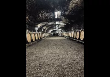 Visite sigature - Château de Lachassagne