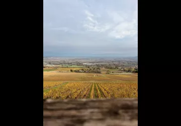 Visite sigature - Château de Lachassagne