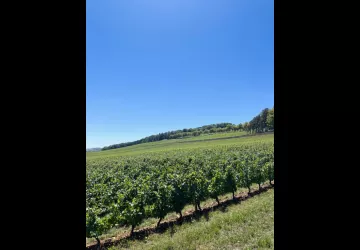 Visite signature - Château de Lachassagne
