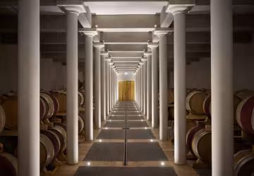 Château Mont-Redon_Châteauneuf-du-Pape