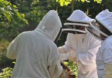 De la terre à l'assiette
