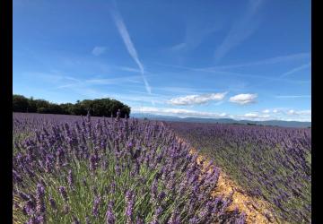 Domaine les Agnels