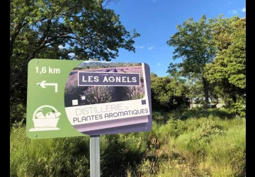 En route vers la distillerie