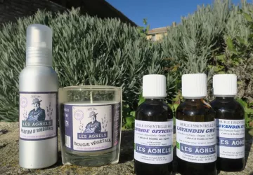 Huiles essentielles et senteurs lavande des Agnels