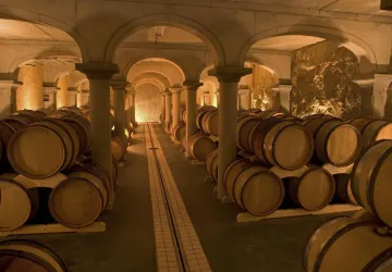 Visite et dégustation au Domaine de Beaurenard_Châteauneuf-du-Pape