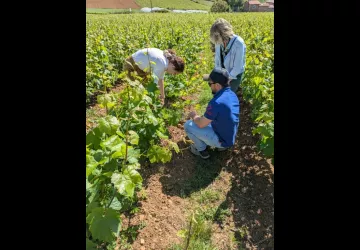 Les épicurieuses_Belleville-en-Beaujolais