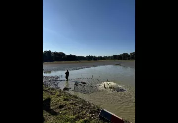 Journées Découverte Poissons de Dombes