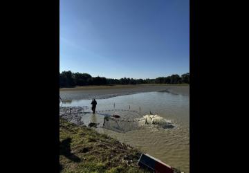 Journées Poissons de Dombes