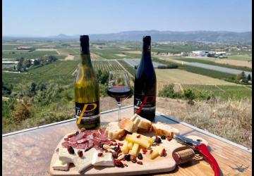 Balade commentée dans les vignes - Cave de Pradelle_Chanos-Curson