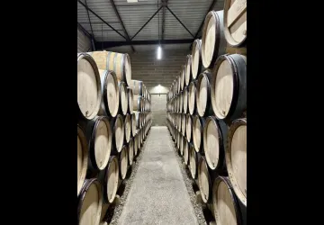 Beaujolais Wine Experiences_Lyon 4ème