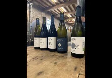 Beaujolais Wine Experiences_Lyon 4ème