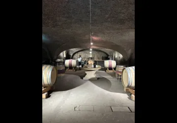 Beaujolais Wine Experiences_Lyon 4ème