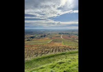 Visite privée du Beaujolais - All inclusive_Lyon 4ème