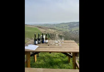 Visite privée du Beaujolais - All inclusive_Lyon 4ème