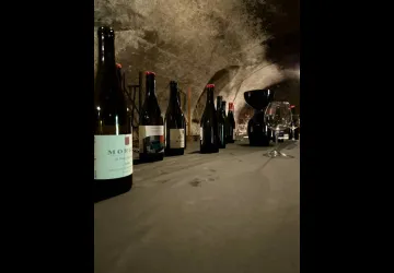 Visite privée du Beaujolais - All inclusive_Lyon 4ème