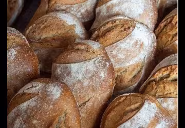De la terre au pain_Le CroissantFertile_Mornant