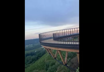 BELVEDERE TUPINS & SEMONS