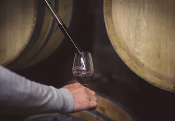 Visite et dégustation au Domaine Burgaud_Ampuis