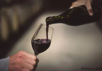 Visite et dégustation au Domaine Burgaud_Ampuis