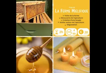 La Ferme Mielifique_MORNANT