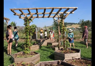 Visite de la Ferme Mielifique avec ateliers_Mornant
