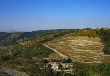 Parcelle de la cuvée Chateau de Montlys