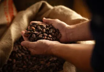 Atelier Chocolat en Terre d’Ardèche - Songes et Cacao_Lamastre