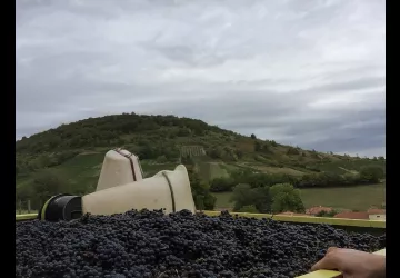 Domaine de la Dentelle_St Martin du Mont