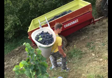 Domaine de la Dentelle_St Martin du Mont