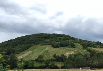 Domaine de la Dentelle_St Martin du Mont