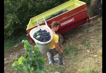 Domaine de la Dentelle