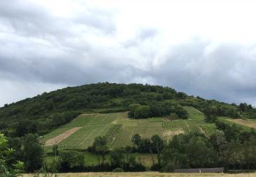 Domaine de la Dentelle